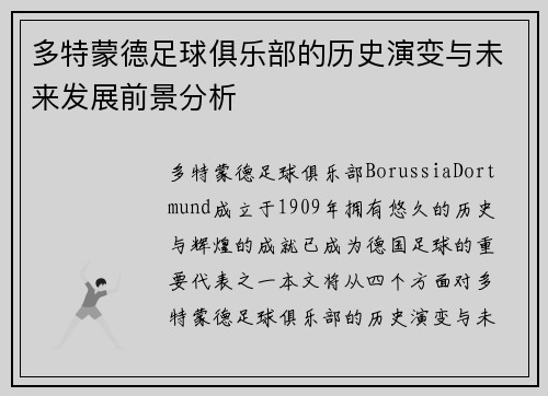 多特蒙德足球俱乐部的历史演变与未来发展前景分析